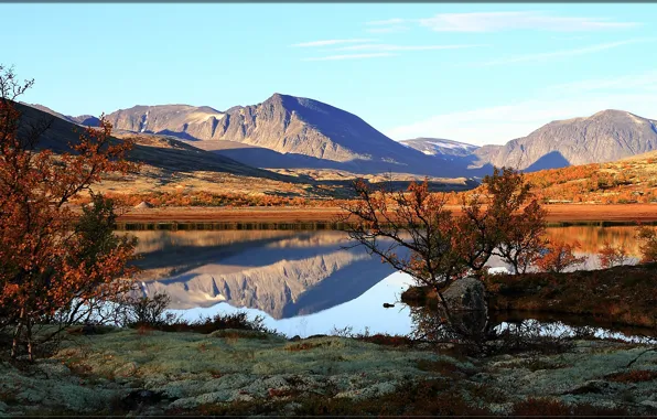 Картинка Norway, Hedmark Fylke, Rondane National Park, Blæsterdalen, Норвегтя