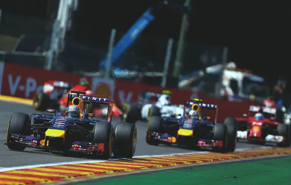 Гонщик, Formula 1, Red Bull, Sebastian Vettel, Чемпион, RB10