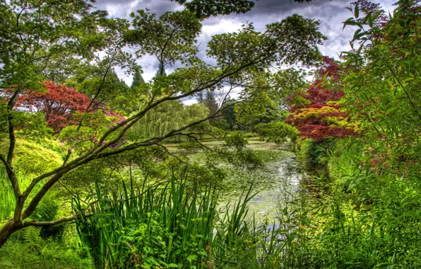 Картинка лето, трава, природа