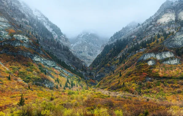 Осень, USA, Utah, Wasatch Mountains
