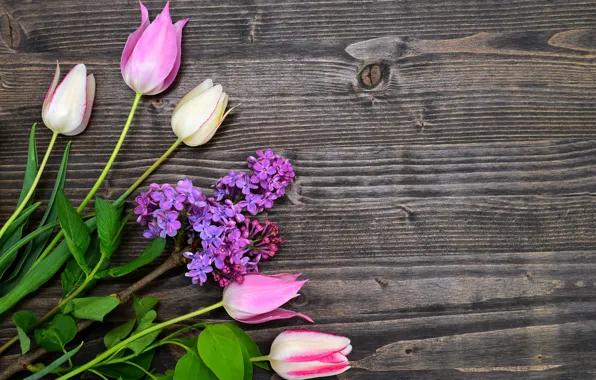 Картинка тюльпаны, wood, pink, flowers, сирень, tulips, spring, lilac
