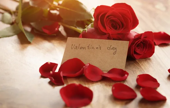 Картинка букет, лепестки, red, romantic, Valentine's Day, gift, roses, красные розы