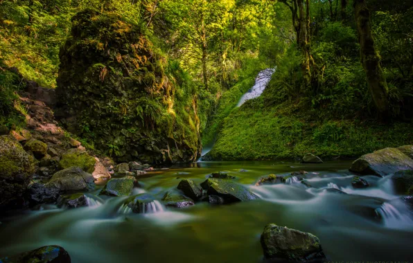 Лес, река, камни, водопад, речка