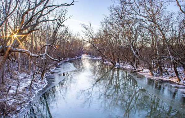 Картинка Солнце, Природа, Зима, Деревья, Снег, Лед, Рассвет, Nature