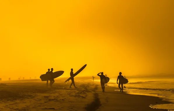 Картинка волны, пляж, лето, солнечный, экстремальный спорт, серферов, доски для серфинга