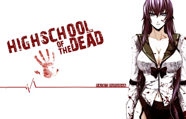 Anime, busujima saeko, hotd