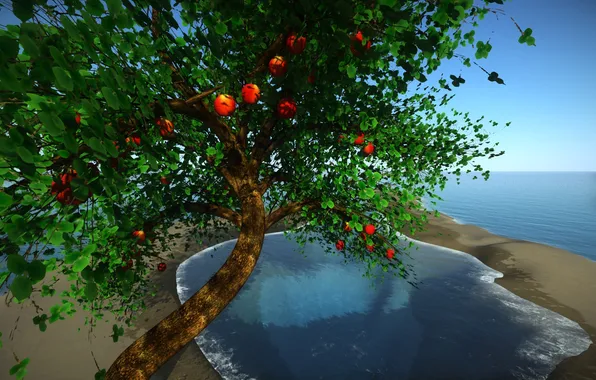 Картинка море, листья, дерево, коллаж, плоды