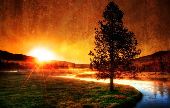 Картинка солнце, закат, горы, природа, туман, река, фото, дерево