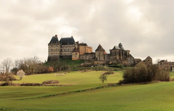 Трава, город, фото, замок, Франция, луга, Chateau de Biron