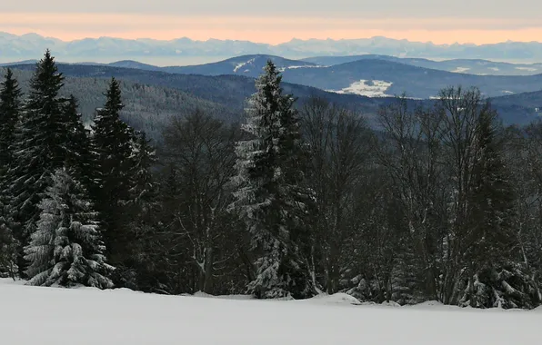 Картинка зима, лес, снег, горы, Чехия, Шумава, narodni park Šumava, obec Horská Kvilda