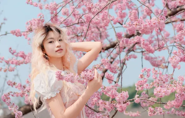 Beautiful, Asian, Model, Tree, Flowers, Smile, Blonde, Woman