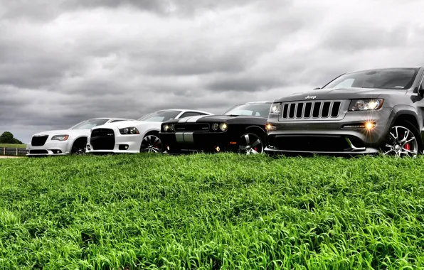 Картинка авто, небо, трава, крастоа, jeep grand cherokee, dodge challenger str8, chrysler 300 srt8, dodge avenger …
