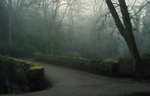 Картинка мост, туман, парк, утро