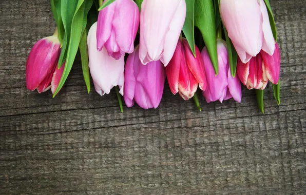 Цветы, букет, colorful, тюльпаны, wood, pink, flowers, tulips