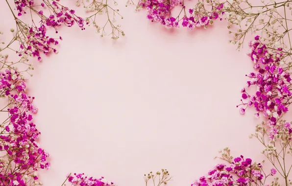 Картинка цветы, фон, розовый, рамка, pink, flowers, frame, floral