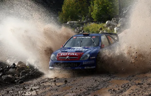 Картинка Ситроен, Citroen, Брызги, WRC, Rally, Ралли, Xsara, Xavier Pons