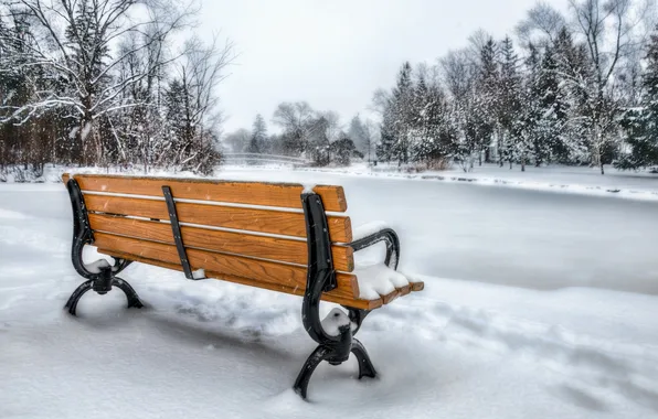 Park, Snow, Bench