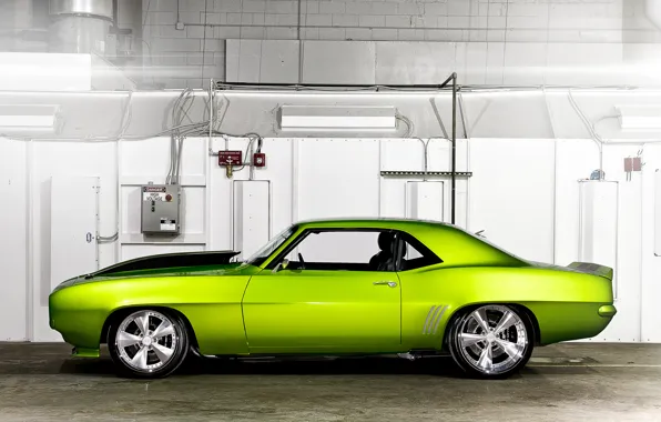 Машина, зеленый, Chevrolet, тачка, Rides Green Monster 31