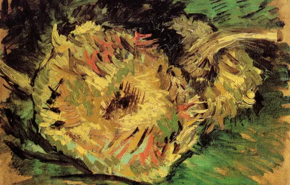 Картинка подсолнух, Винсент ван Гог, Two Cut Sunflowers