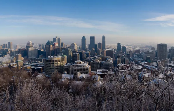 Зима, снег, деревья, Монреаль, канада