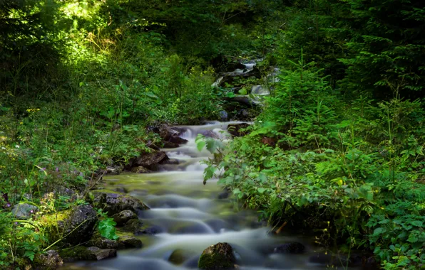 Природа, Поток, Лес, Nature, Речка, River, Forest, Flow