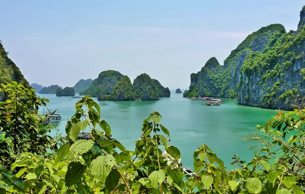 Картинка ветки, скалы, лодки, Вьетнам, Vietnam, Ha Long Bay, Бухта Халонг