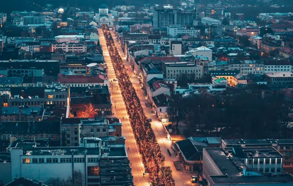 Christmas Lights, Lietuva, Kaunas, Laisvės alėja