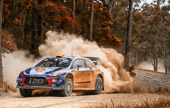 Авто, Лес, Спорт, Машина, Гонка, Занос, Hyundai, Автомобиль