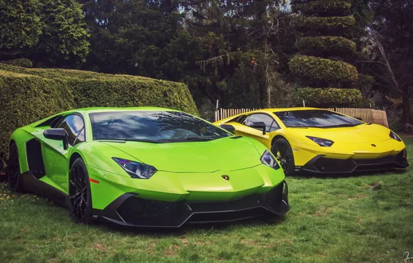 Трава, Lamborghini, Деревья, Ламборджини, Кусты, Green, Yellow, Aventador