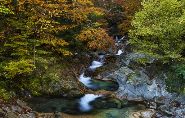 Осень, лес, скалы, берег, листва, водопад, поток, краски осени