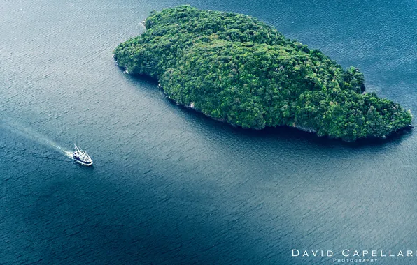 Картинка природа, океан, остров, яхта, залив, New Zealand