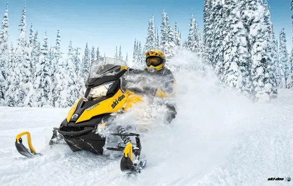 Снег, Snow, Forest, TNT, Лёс, Снегоход, Skidoo, Snowmobile