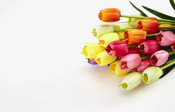 Картинка цветы, весна, colorful, тюльпаны, flowers, tulips, spring