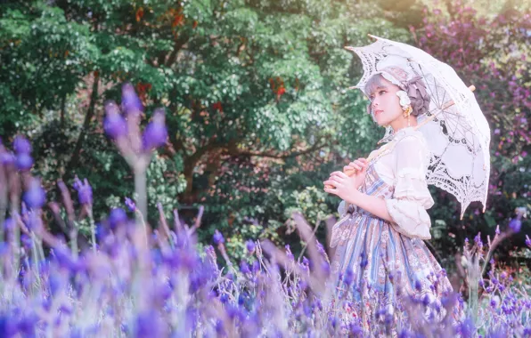 Картинка лето, девушка, свет, цветы, природа, зонт, сад, платье