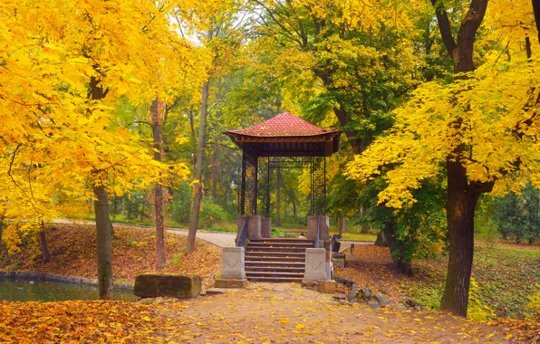 Осень, листья, деревья, парк, беседка