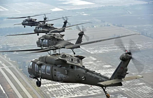 Картинка оружие, армия, Sikorsky, UH-60, Black Hawk, вертолёты