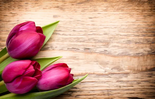 Картинка цветы, букет, fresh, wood, pink, flowers, beautiful, tulips
