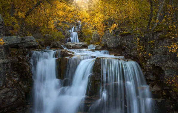 Картинка осень, деревья, скалы, водопад, Норвегия, каскад, Norway, Довре