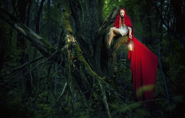 Картинка лес, девушка, дерево, арт, красный плащ