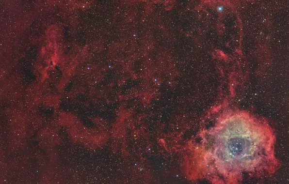 Картинка космос, звезды, пространство, Rosette Nebula
