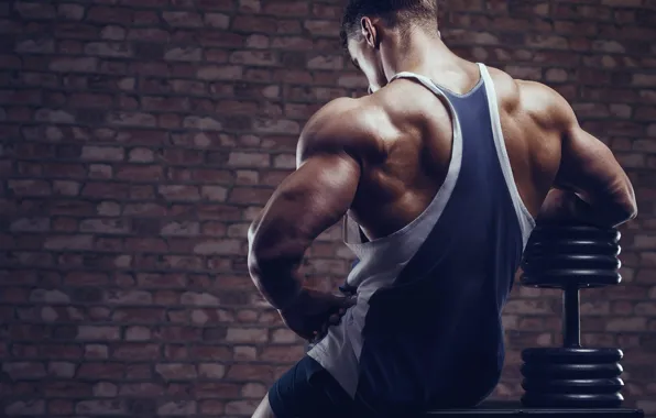 Спина, muscle, мышцы, Back, workout, бодибилдер, weight, dumbbells