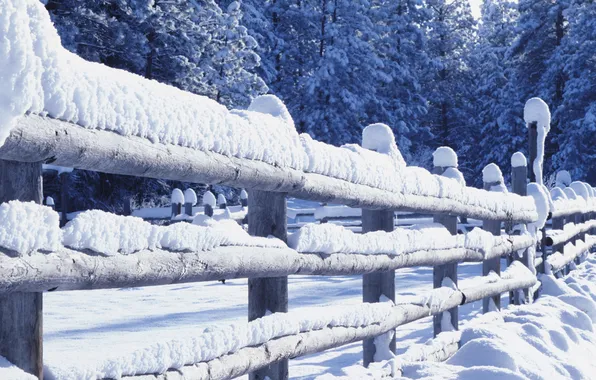 Картинка зима, снег, ограда