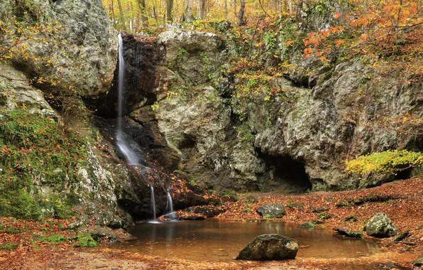 Картинка лес, деревья, парк, ручей, камни, водопад, мох, США