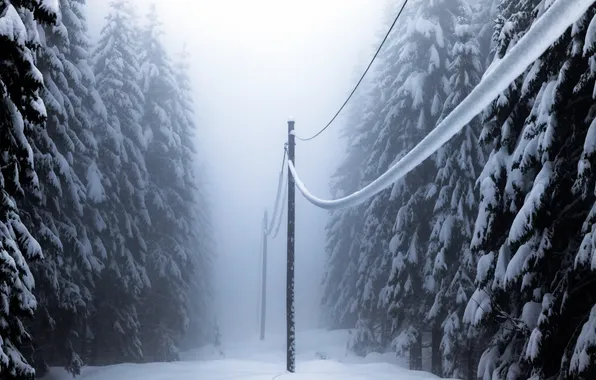 Зима, лес, снег