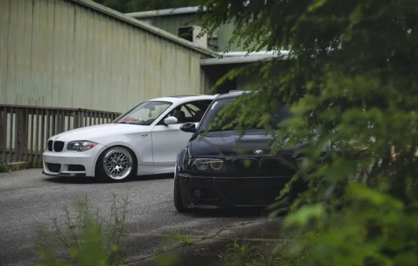 Забор, BMW, черная, белая, кусты, E46
