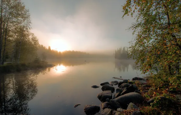 Картинка осень, туман, озеро, утро