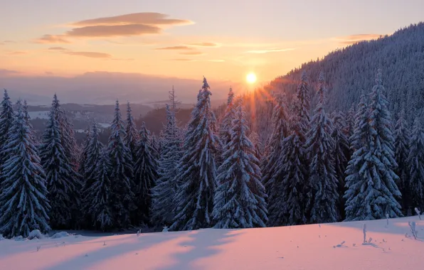 Картинка зима, лес, небо, солнце, облака, лучи, снег, пейзаж