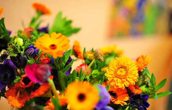 Природа, букет, лепестки