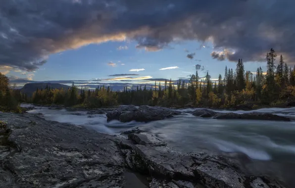 Картинка осень, лес, облака, деревья, река, Швеция, Sweden, Lapland
