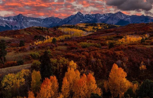 Картинка осень, лес, горы, краски осени